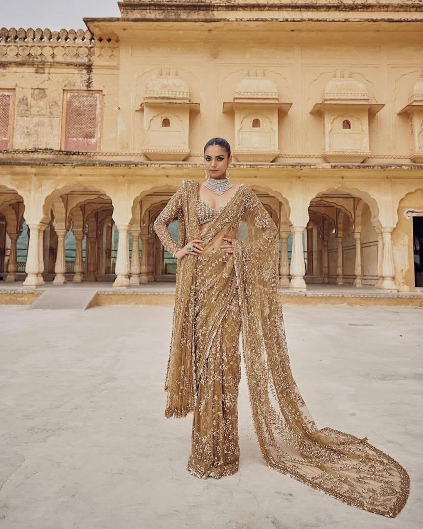 Mono Net Saree