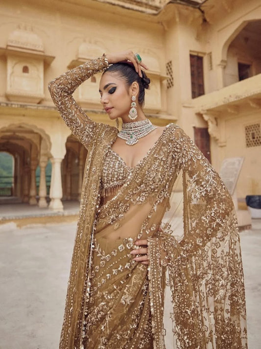 Mono Net Saree